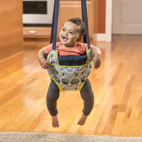 Baby Door Swing